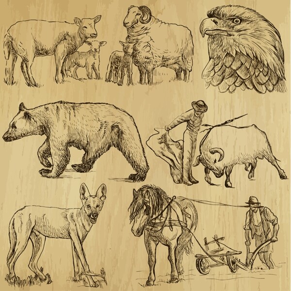 动物手绘设计图片