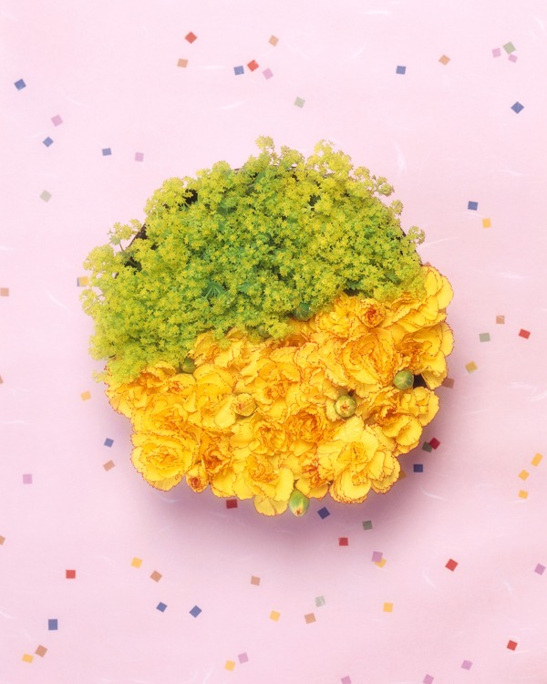 花藝圖片