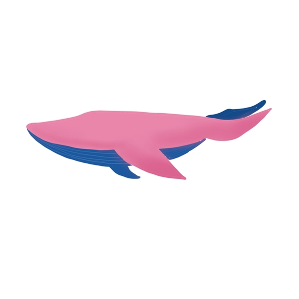 卡通粉色大鲸鱼下载