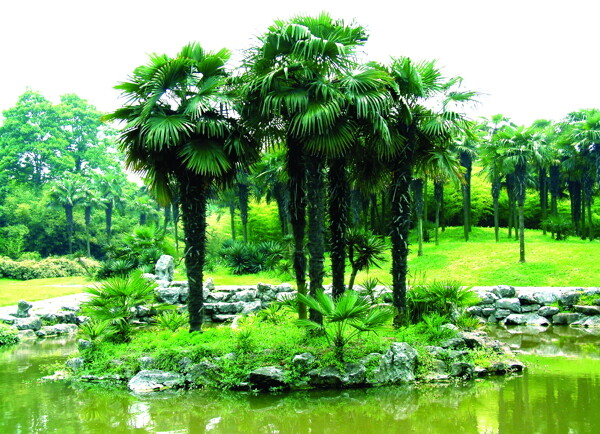 景觀環(huán)境013背景素材