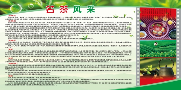 名茶風(fēng)采展板圖片