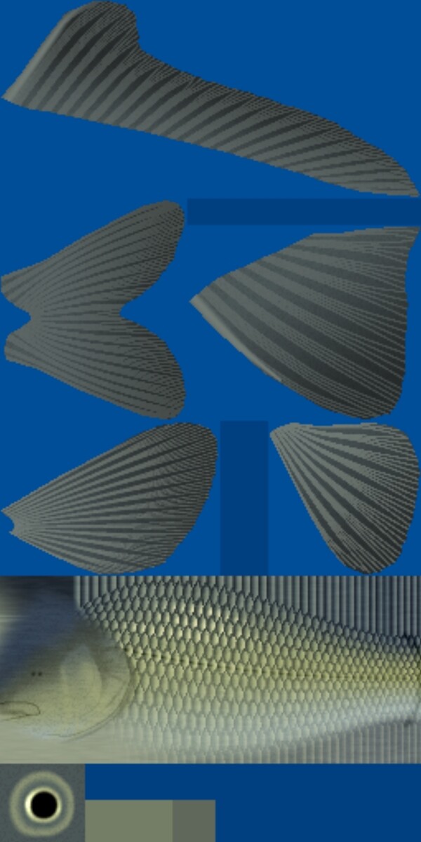 動(dòng)物魚類3d模型動(dòng)植物模型免費(fèi)下載魚類3d素材65