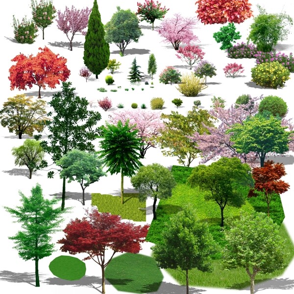 绿化植物素材图片