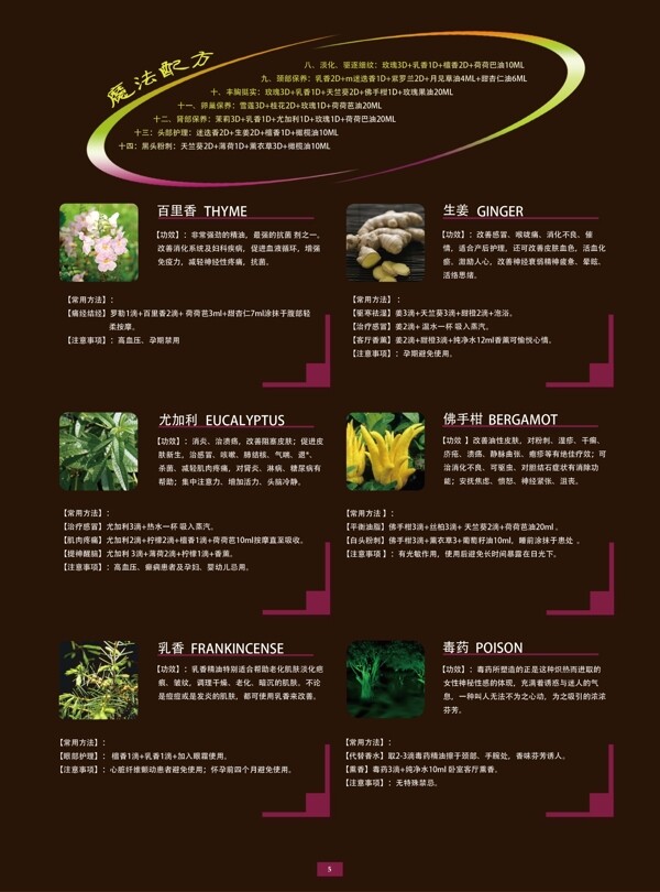 化妝品護膚品畫冊設計圖片