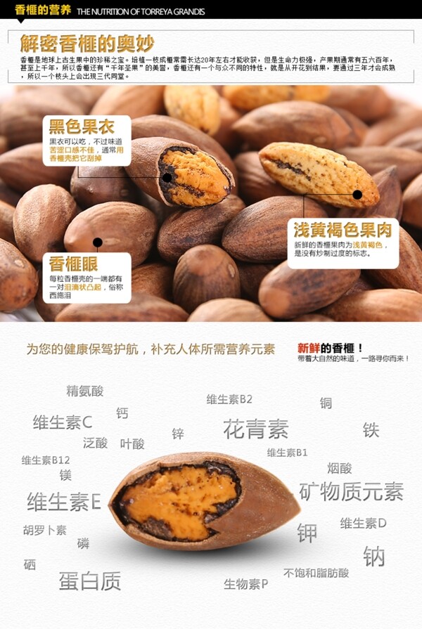 香榧營養(yǎng)