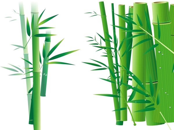 矢量竹子素材图片