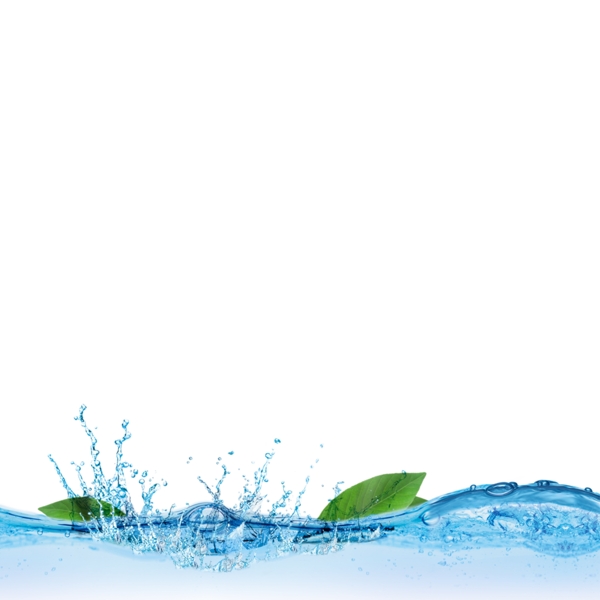 水與樹葉