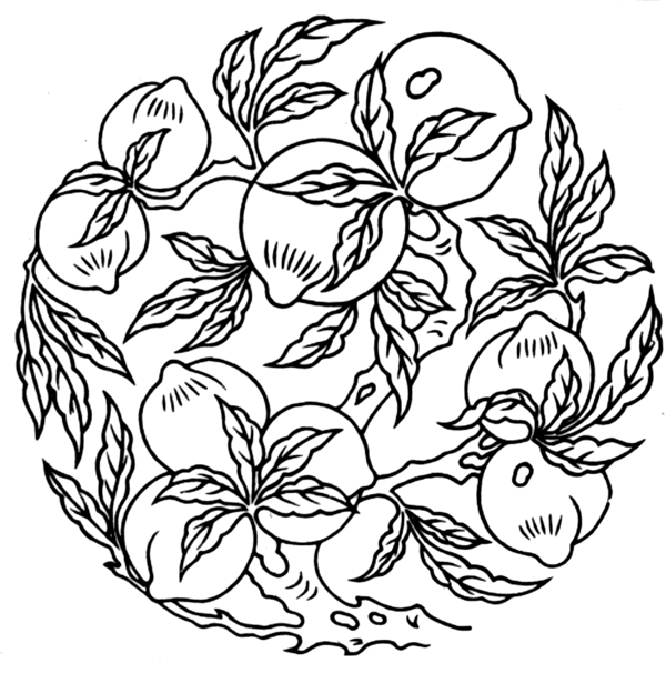花鳥圖案?jìng)鹘y(tǒng)裝飾0119