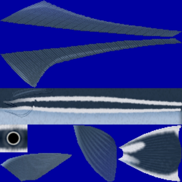 動(dòng)物魚類3d模型動(dòng)植物模型免費(fèi)下載動(dòng)植物3d模型5
