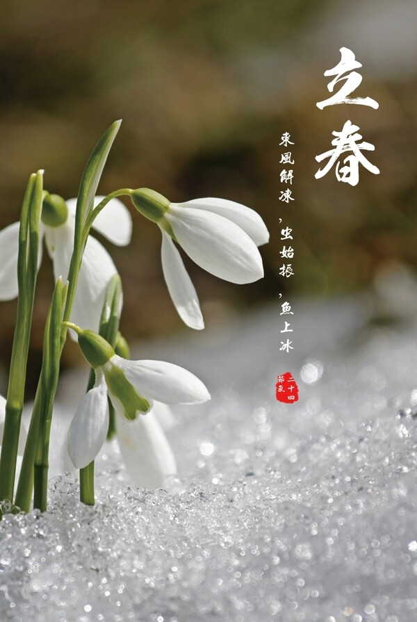 立春海報(bào)