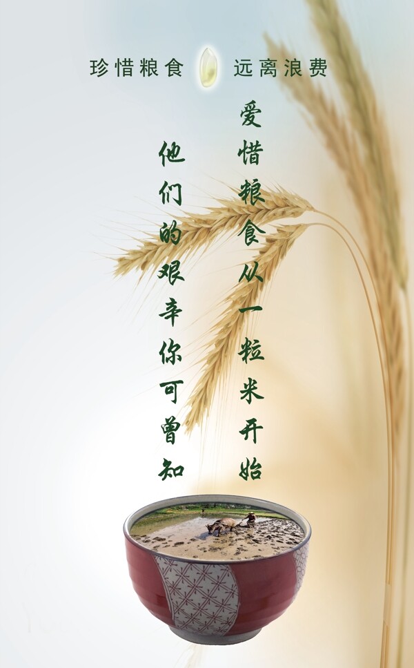 節(jié)約糧食展板圖片