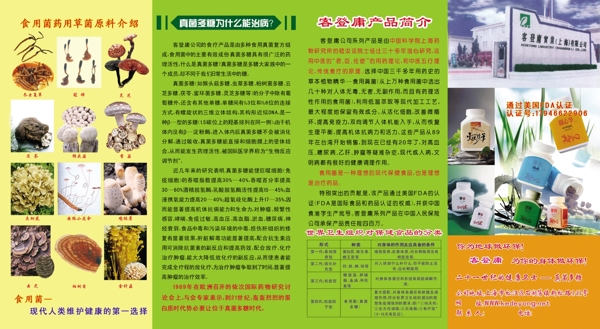 四折頁圖片