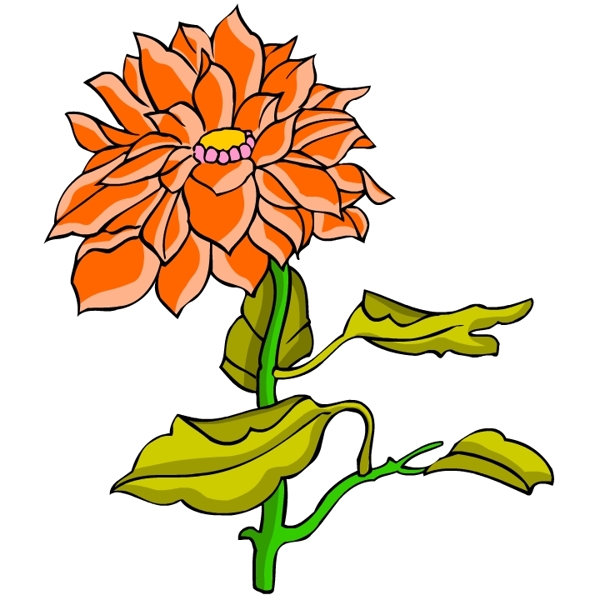 花卉古典插畫