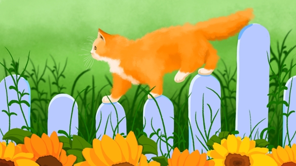 二十四节气末伏之橘猫花园的一天