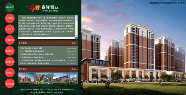 贵州泰隆置业网站模板图片