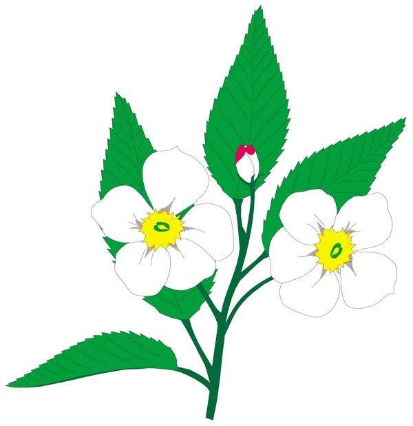 花朵花草鮮花矢量EPS格式0009