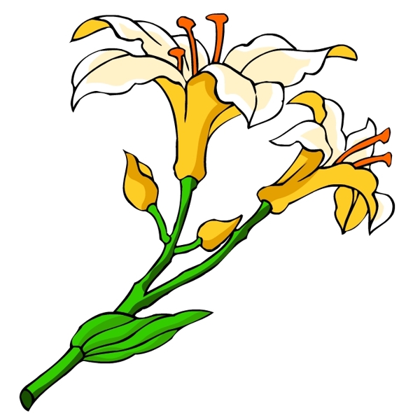 花卉古典插畫
