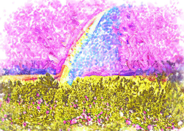 花海彩虹圖