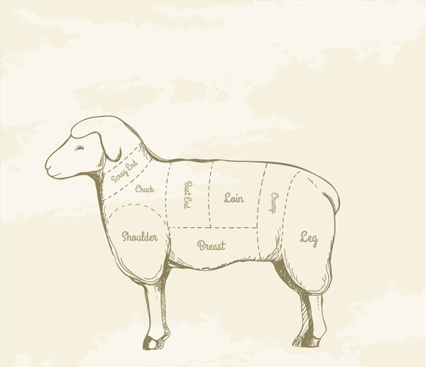 羊肉切绘画