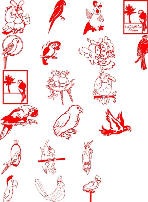 各種鳥圖片