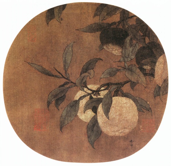 綠橘