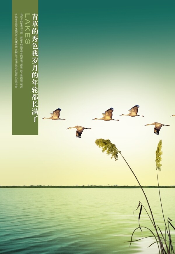 中國風(fēng)創(chuàng)意海報(bào)