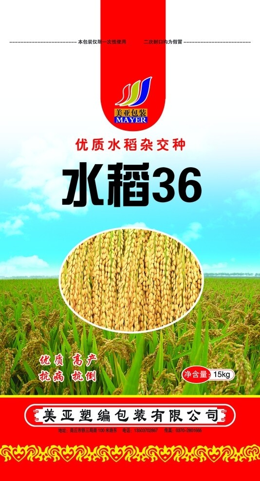 水稻種子圖片