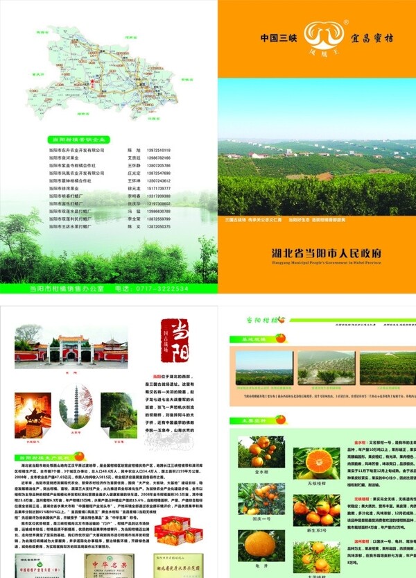 柑桔宣傳單頁圖片
