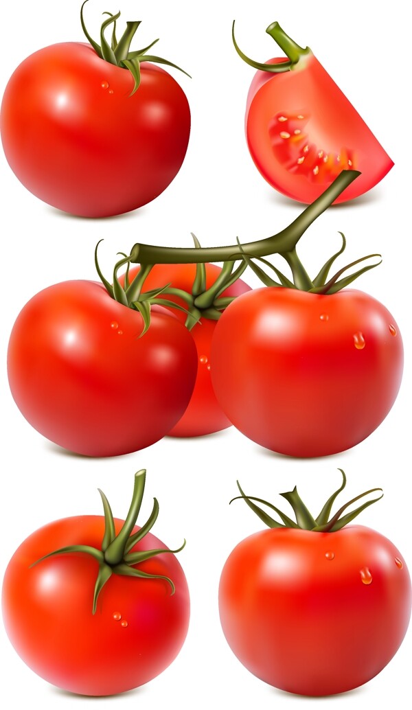 精美番茄素材
