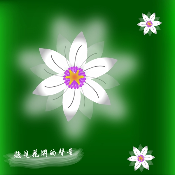 百合花