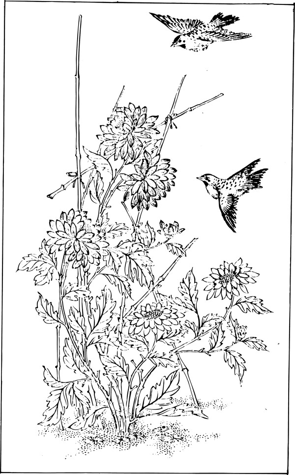 富貴花鳥圖圖片