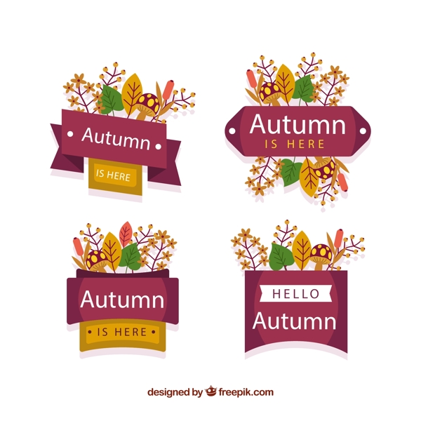 秋季树叶标签图片