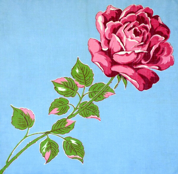 位圖插畫時尚插畫植物插畫藝術(shù)效果免費素材