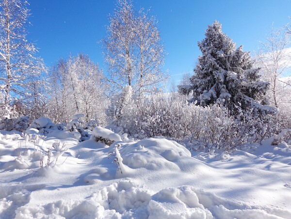 下雪场景图片