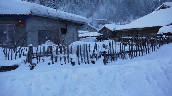 雪乡的村落图片