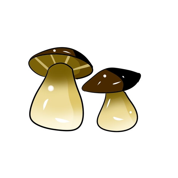 白色大肚子蘑菇插图