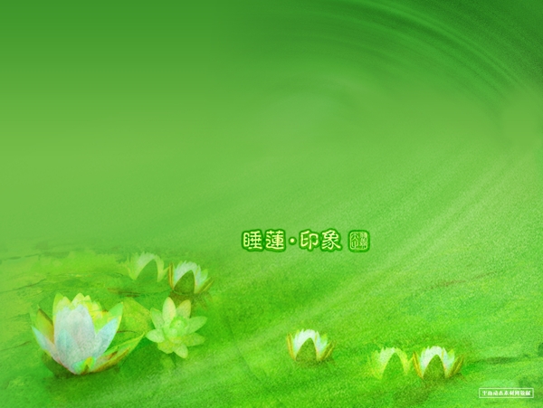 荷花婚紗模板