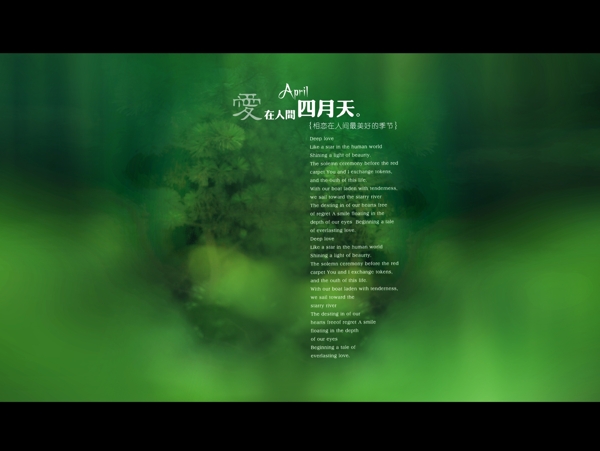 心戀主題心戀主題四婚紗模板影樓魔法書DVD41