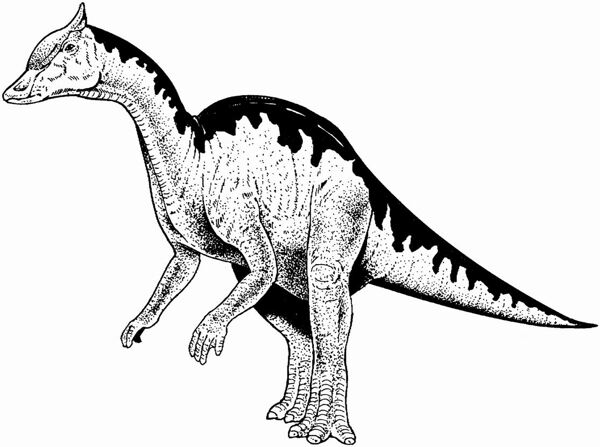 遠(yuǎn)古時(shí)代的動(dòng)物恐龍手繪畫動(dòng)物素描