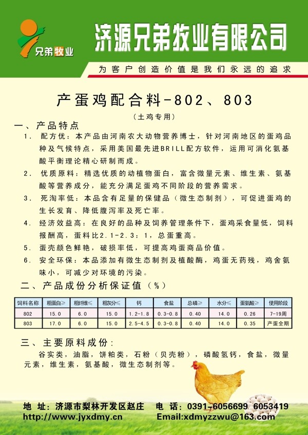 彩頁圖片