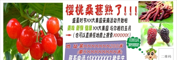 櫻桃桑葚噴繪