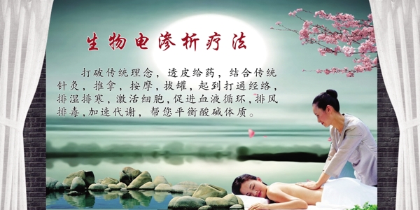 生物電圖片