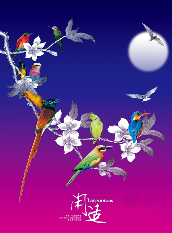 小鳥樹枝休閑中國元素