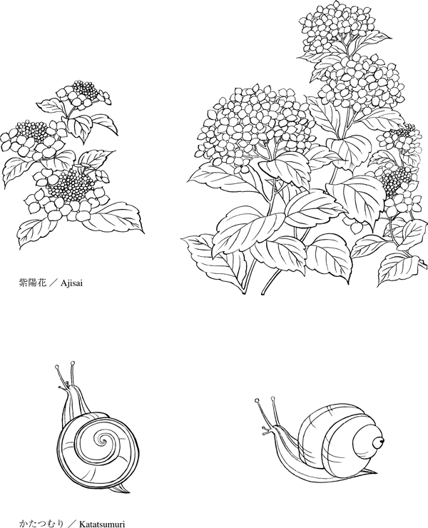 植物白描1圖片