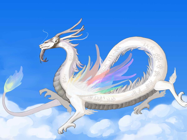 白龍圖片