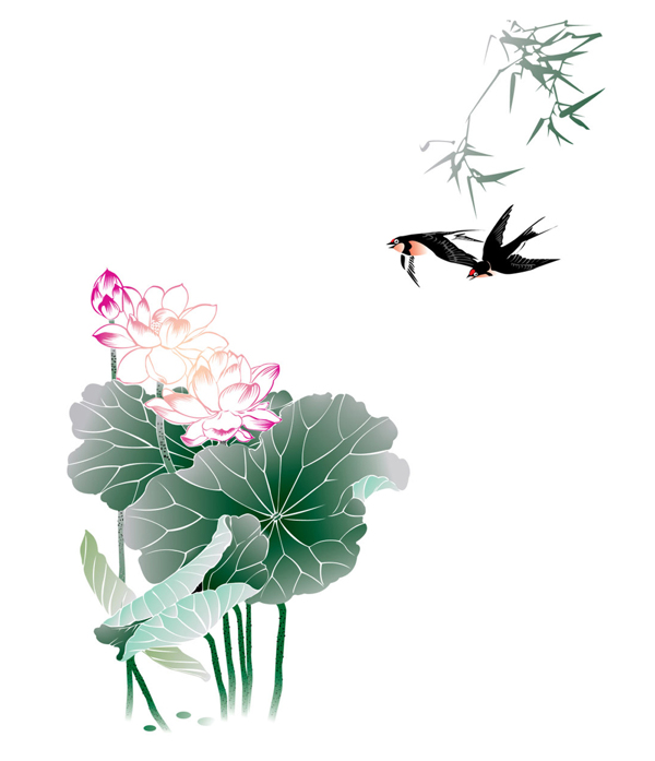 淡雅荷花