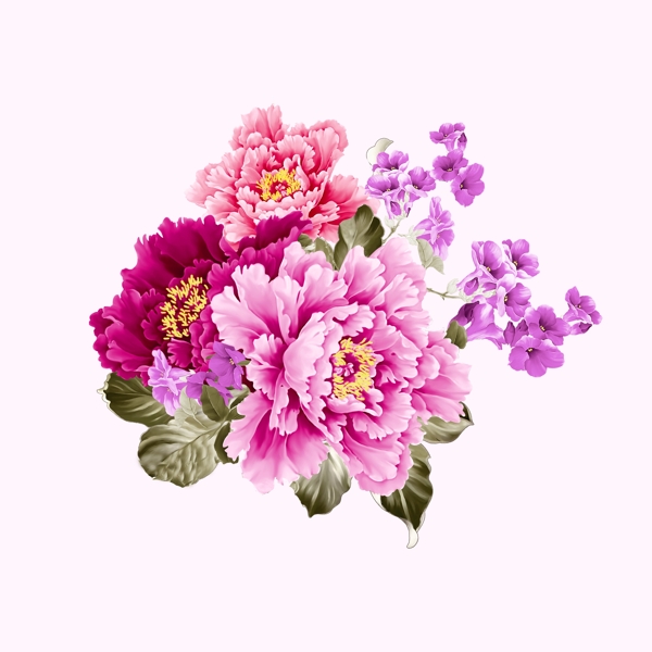 位圖psd植物花朵免費素材