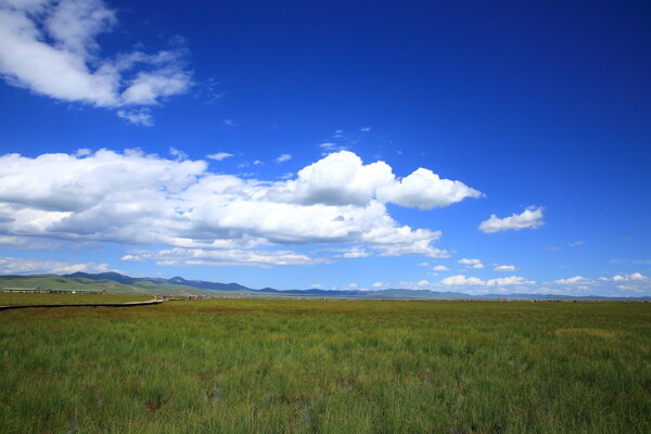 四川若爾蓋花湖風(fēng)景