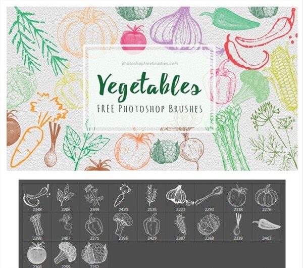 手绘蔬菜图案PS笔刷