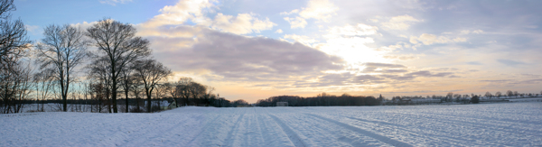 冬季雪地风景